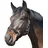 ELDORADO Pferde-Halfter Standard Schwarz Warmblut