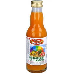 Vitagarten 12-Frucht-Multi-Saft Einwegflasche