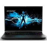 Erazer Beast X40 (17" Zoll 240Hz) QHD+ Gaming Laptop (Intel Core i9-14900HX, 32GB DDR5 RAM, 2TB SSD, GeForce RTX 4090 16GB GDDR6, Win 11 Home)