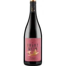 j. trautwein Spätburgunder Höllenbrand 2019 0,75 l