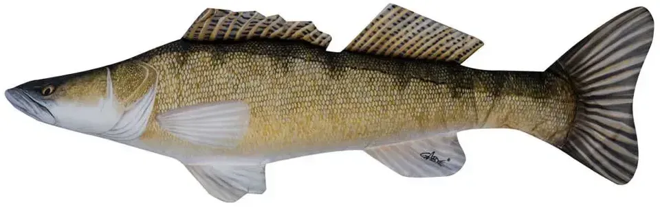 Energoteam Zander Kissen - Multicolour - One Size