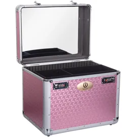 Imperial Riding Putzbox IRHShiny Silver