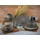 CreaTable Granit Kombiservice-Set, 16-tlg. (23770)