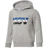Hamburg SV HSV Kinder Kapuzenpullover Hoodie Pullover ** Nias ** (DE/NL/SE/PL, Numerisch, 140, Regular, Grau) - 140