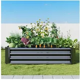 luxuskollektion Hochbeet-Set 120 x 60 x 30 cm Schwarz