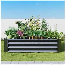 luxuskollektion Hochbeet-Set 120 x 60 x 30 cm Schwarz