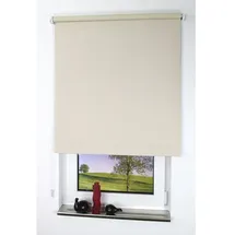 LIEDECO Seitenzugrollo Uni 62 x 180 cm verdunkelnd cream