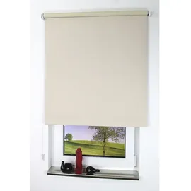 LIEDECO Seitenzugrollo Uni 62 x 180 cm verdunkelnd cream