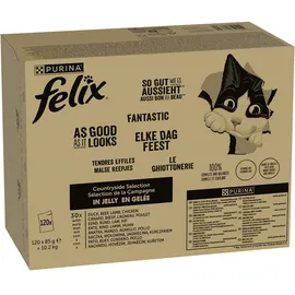 FELIX So gut wie es aussieht Rind Huhn Ente Lamm in Gelee 120 x 85 g