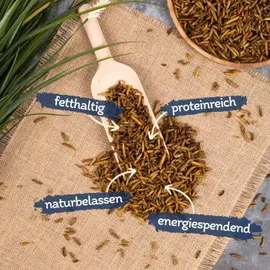 Lyra Pet Lyra Pet® Insekten Probier Mix getrocknet