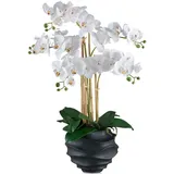 Creativ green Kunstorchidee »Orchidee Phalaenopsis«, im Design-Topf weiß