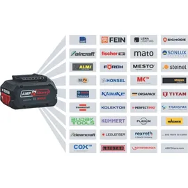 Bosch GBA 18 V Li-Ion 2 x 5,0 Ah + Ladegerät