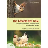 Pala Die Gefühle der Tiere