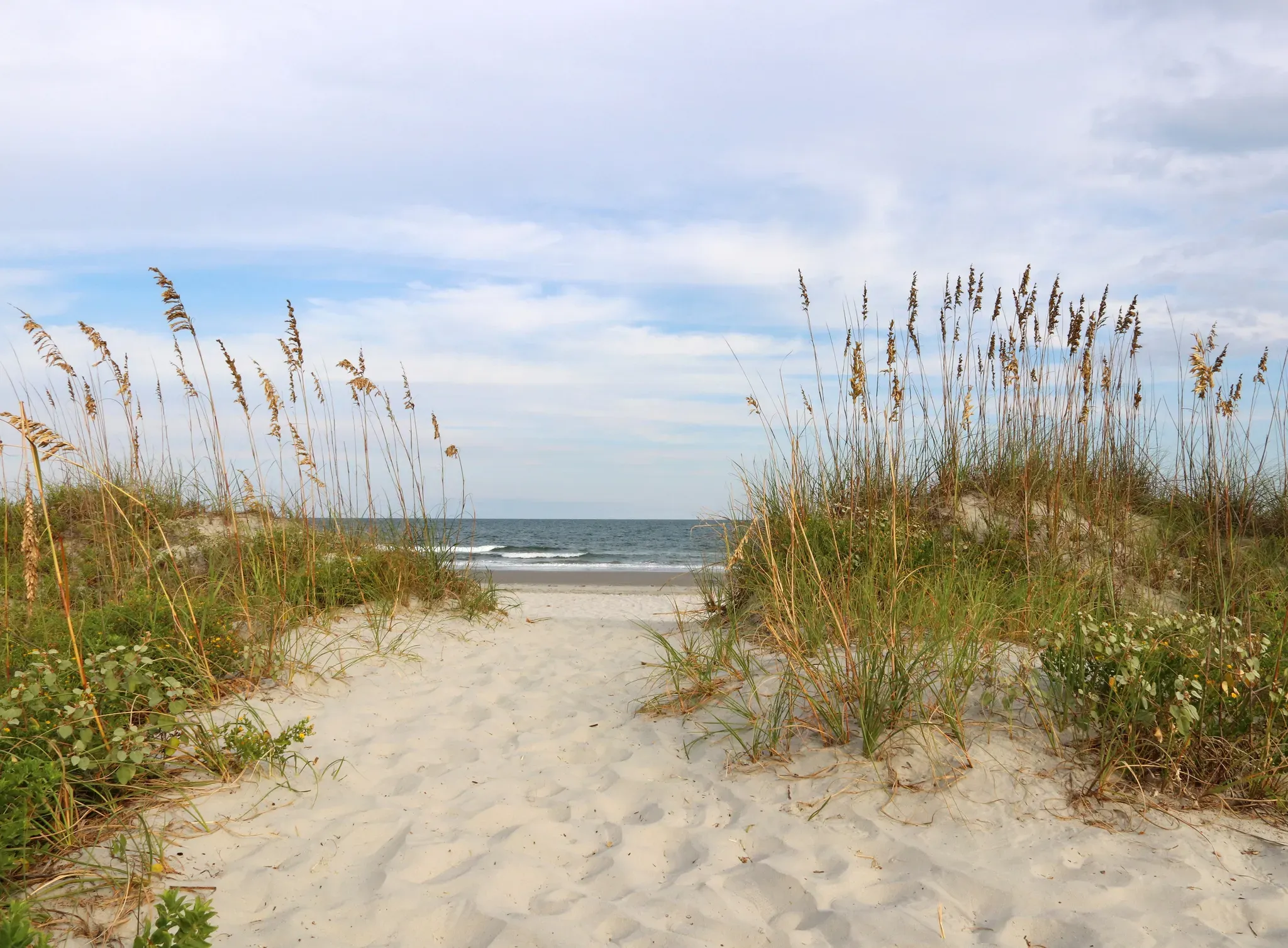 Fototapete PAPERMOON "Dunes Huntington Beach", bunt (mehrfarbig), B:5m L:2,8m, Vlies, Tapeten