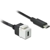 DeLock USB-C auf USB-C 0,25 m Weiß
