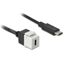 DeLock USB-C auf USB-C 0,25 m Weiß