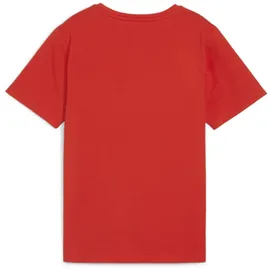 Puma Teamrise Logo Jersey Cotton Jr Tees