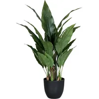 Aplanta Kunstpflanze Spatifilum (Höhe: 55 cm,