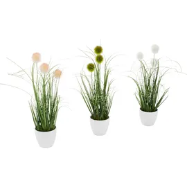 OTTO home Kunstgras OTTO HOME "Grasbusch, naturgetreue Kunstpflanze, 35cm hoch", grün (grün, weiß), H:35cm Ø:7,5cm, Kunststoff, Kunstpflanzen, im 3 teiligen Set, mit Übertopf wahlweise in schwarz oder weiß