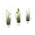OTTO home Kunstgras OTTO HOME "Grasbusch, naturgetreue Kunstpflanze, 35cm hoch", grün (grün, weiß), H:35cm Ø:7,5cm, Kunststoff, Kunstpflanzen, im 3 teiligen Set, mit Übertopf wahlweise in schwarz oder weiß