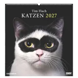 Neumann Tim Flach: Katzen 2027