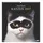 Neumann Tim Flach: Katzen 2027