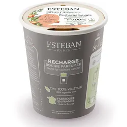 Esteban Refill für dekorative Duftkerze Rebpfirsich Kerze 180 g 