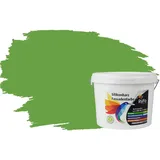 RyFo Colors Fassadenfarbe Silikonharz Fassadenfarbe Schilfgrün 3l, 1 L ca. 6 m2, Wasserabweisend, diffusionsfähig, schützt vor Schmutz, Algen, Pilzen grün