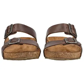 HAFLINGER Bio Andrea Braun 40