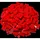 LEGO Duplo 2x4 Steine Rot - 80 Stück - Grundbausteine Red NEU 3011