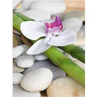 ARTland Artland, Bilder, Zen Orchidee T3BE (90 x 120