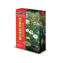 Greenfield Rasensaat mit Gräsern | 10kg Wildblumenwiese