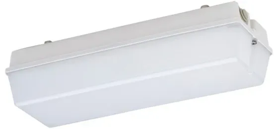 Schuch Licht LED-Notleuchte 131 L02G2/1 W MA