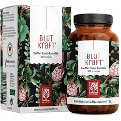 Blutkraft: Eisen-Komplex mit Fenchel & Cofaktoren 120 St