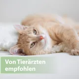 Felisept Zahnpflege Finger-Pads für Katzen 50 Stück