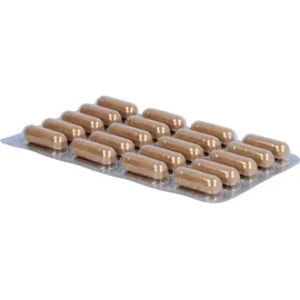 PADMA Deutschland GmbH Padma DigesTib Kapseln