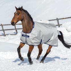 Bucas Power Turnout Extra Classic 300g SD - silver, 145
