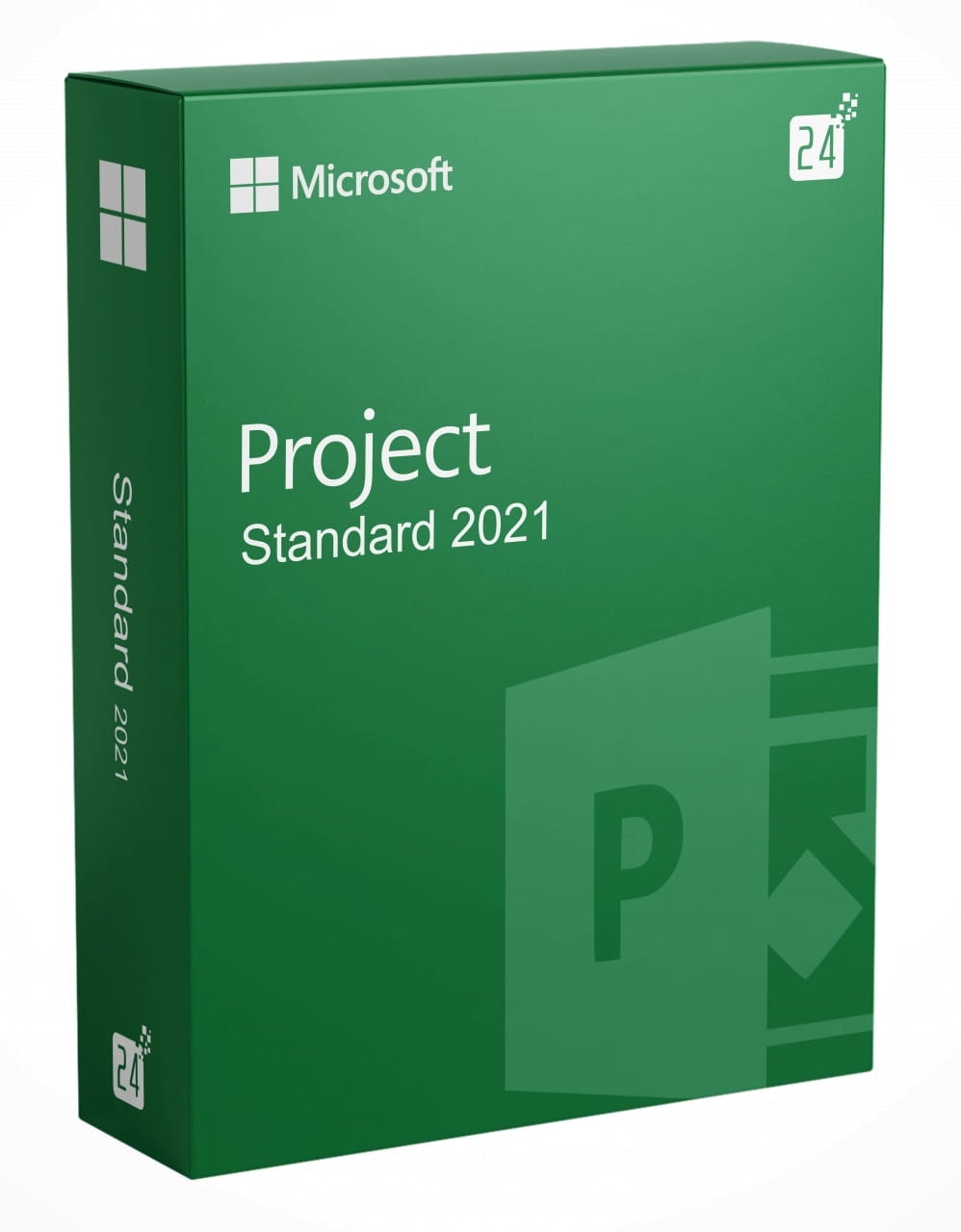 Microsoft Project 2021 Standard