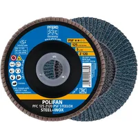 Pferd Fächerscheibe 125 mm Schleifscheibe 5 Stück