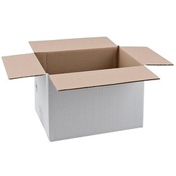 20 Nestler Wellpapp-Faltkartons 1-wellig weiß 27,0 x 18,0 x 18,7 cm Außenmaß
