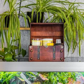 HMF 6404-130 Schatztruhe 30 x 20 x 22 cm 1-tlg. braun