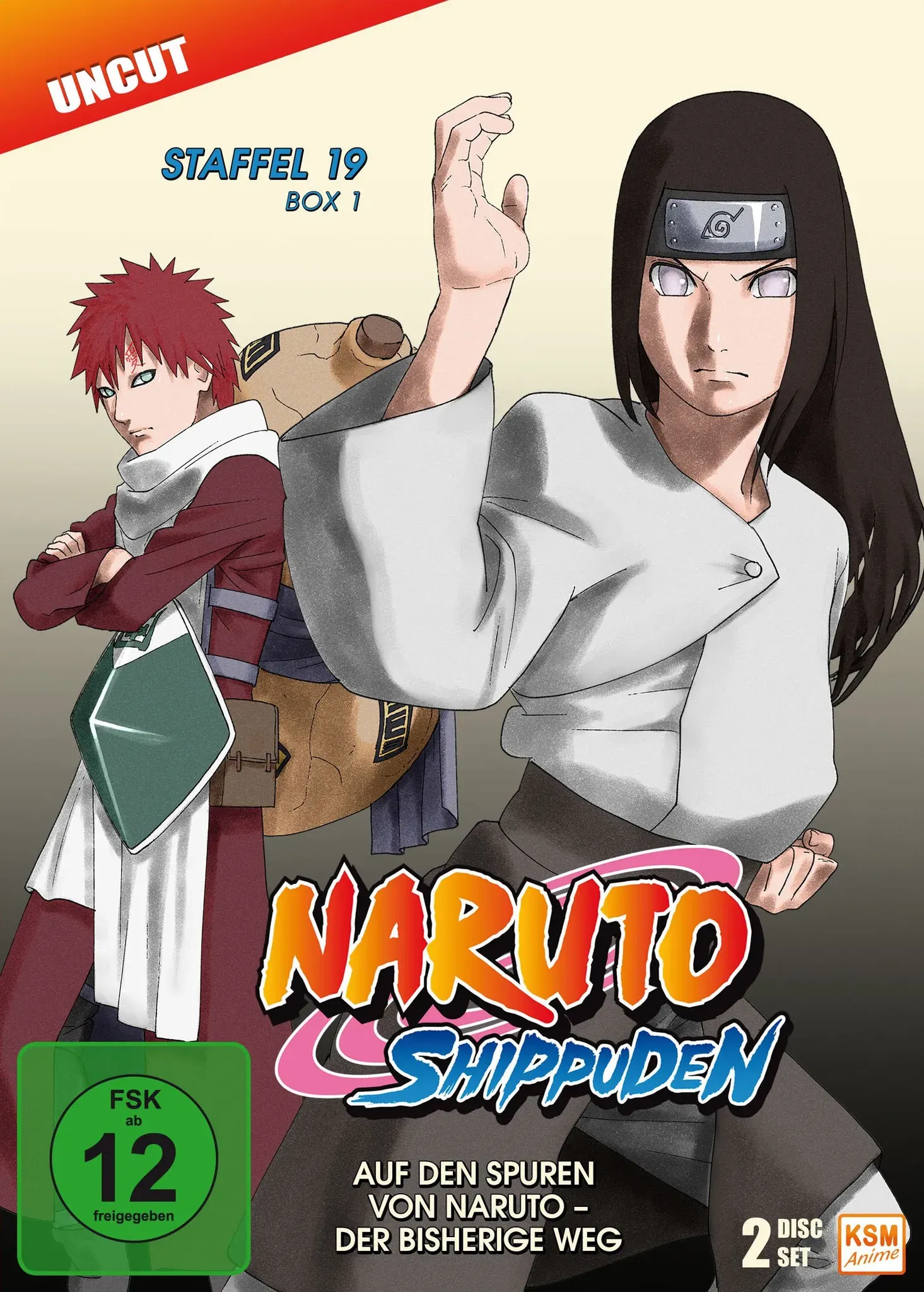 Naruto Shippuden - Auf den Spuren von Naruto - Der bisherige Weg - Staffel 19.1: Episode 614-623 [3 DVDs] (Neu differenzbesteuert)