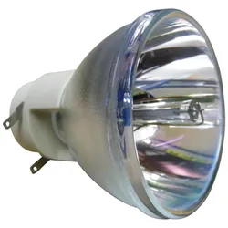 Beamerlampe (nur Leuchtmittel) für DIGITAL PROJECTION (ersetzt: 111-100)