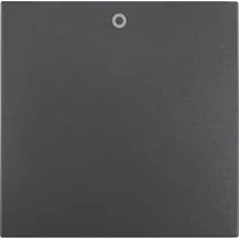 Berker Wippschalter 16221606