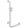 Hewi Duschhandlauf Serie 801 mit Brausehalter 1250 x 600 mm reinweiß
