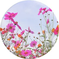 PopSockets Telefongriff Fuschia Bloom