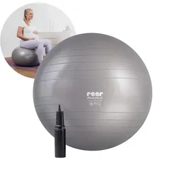 Reer Gymnastikball Grau 65 cm