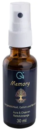 Memory - Absolute Qi-Health Spray für Gehirn, Konzentration und Gedächtnis 30 ml