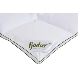 Fjödur Gänsedaunenbettdecke FJÖDUR "Franzisk, Bettdecken für Sommer oder Winter, Decke", weiß, B:155cm L:220cm, Bezug: 100% Baumwolle. Füllung: 100% Gänsedaunen, Bettdecken, Bettdecke 135x200, allergiker geeignet (für Hausstauballergiker)