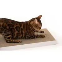 LucyBalu SCRATCHPAPER Katzen Kratzpappe weiß